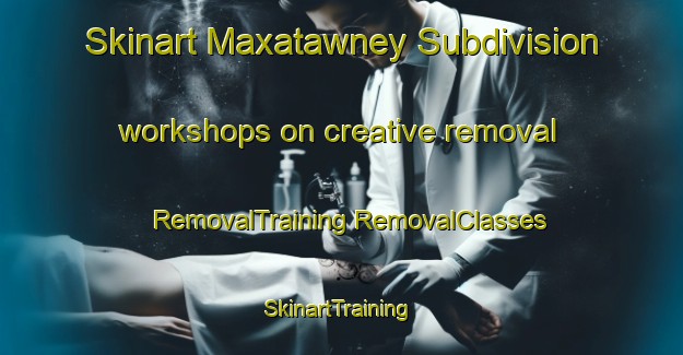 Skinart Maxatawney Subdivision workshops on creative removal | #RemovalTraining #RemovalClasses #SkinartTraining-United States