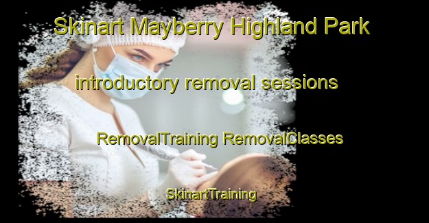 Skinart Mayberry Highland Park introductory removal sessions | #RemovalTraining #RemovalClasses #SkinartTraining-United States