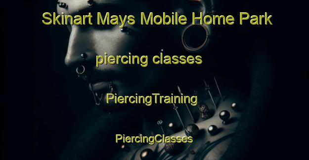 Skinart Mays Mobile Home Park piercing classes | #PiercingTraining #PiercingClasses #SkinartTraining-United States