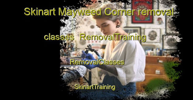 Skinart Mayweed Corner removal classes | RemovalTraining | RemovalClasses | SkinartTraining-United States