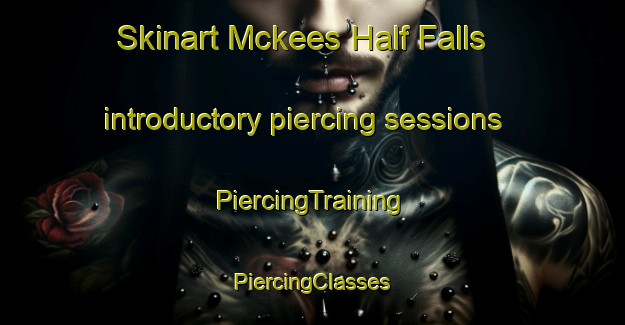 Skinart Mckees Half Falls introductory piercing sessions | #PiercingTraining #PiercingClasses #SkinartTraining-United States