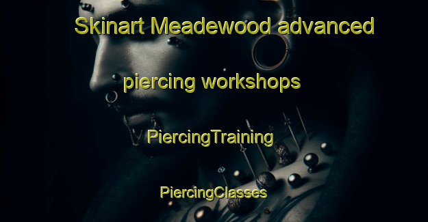 Skinart Meadewood advanced piercing workshops | #PiercingTraining #PiercingClasses #SkinartTraining-United States