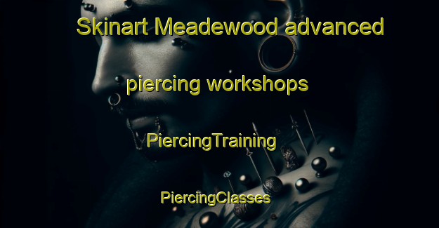 Skinart Meadewood advanced piercing workshops | PiercingTraining | PiercingClasses | SkinartTraining-United States