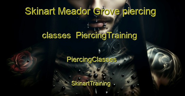 Skinart Meador Grove piercing classes | #PiercingTraining #PiercingClasses #SkinartTraining-United States