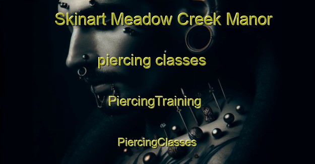 Skinart Meadow Creek Manor piercing classes | #PiercingTraining #PiercingClasses #SkinartTraining-United States