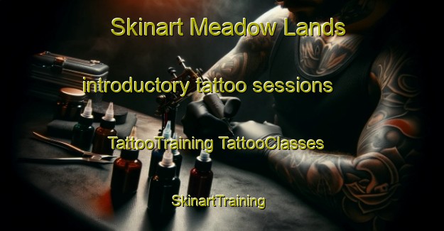 Skinart Meadow Lands introductory tattoo sessions | #TattooTraining #TattooClasses #SkinartTraining-United States