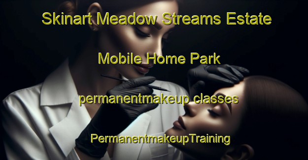 Skinart Meadow Streams Estate Mobile Home Park permanentmakeup classes | #PermanentmakeupTraining #PermanentmakeupClasses #SkinartTraining-United States