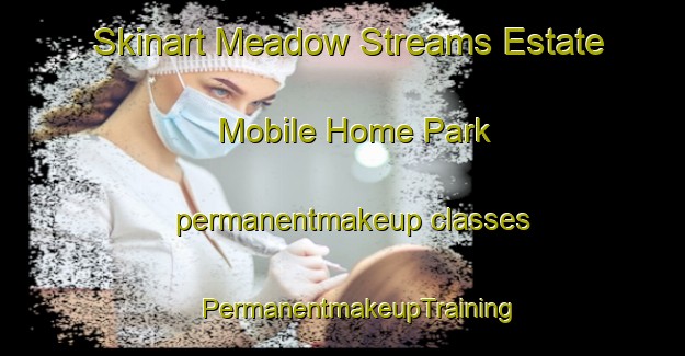 Skinart Meadow Streams Estate Mobile Home Park permanentmakeup classes | #PermanentmakeupTraining #PermanentmakeupClasses #SkinartTraining-United States