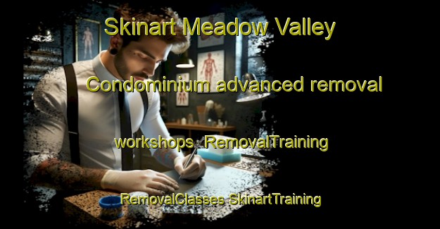 Skinart Meadow Valley Condominium advanced removal workshops | #RemovalTraining #RemovalClasses #SkinartTraining-United States