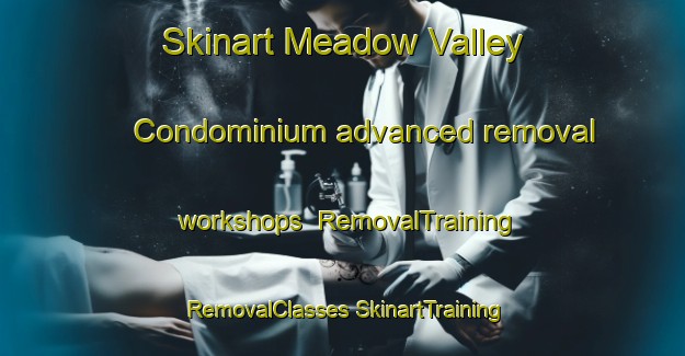 Skinart Meadow Valley Condominium advanced removal workshops | #RemovalTraining #RemovalClasses #SkinartTraining-United States