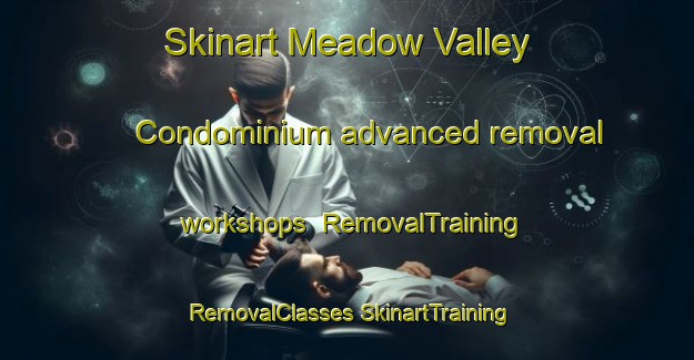 Skinart Meadow Valley Condominium advanced removal workshops | #RemovalTraining #RemovalClasses #SkinartTraining-United States