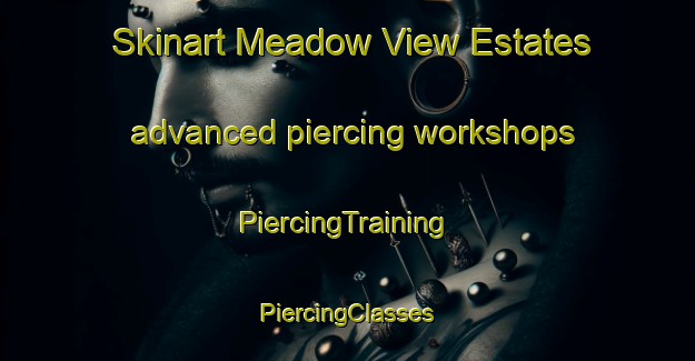 Skinart Meadow View Estates advanced piercing workshops | #PiercingTraining #PiercingClasses #SkinartTraining-United States