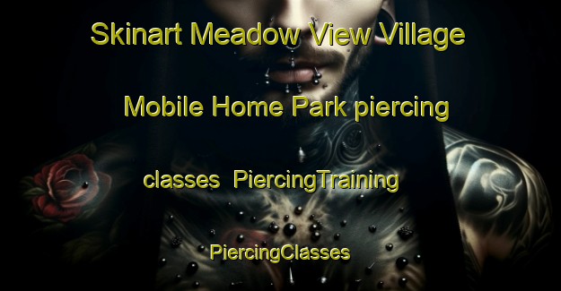 Skinart Meadow View Village Mobile Home Park piercing classes | #PiercingTraining #PiercingClasses #SkinartTraining-United States