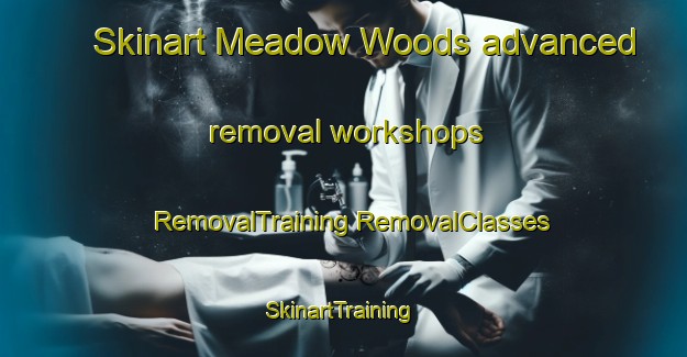 Skinart Meadow Woods advanced removal workshops | #RemovalTraining #RemovalClasses #SkinartTraining-United States