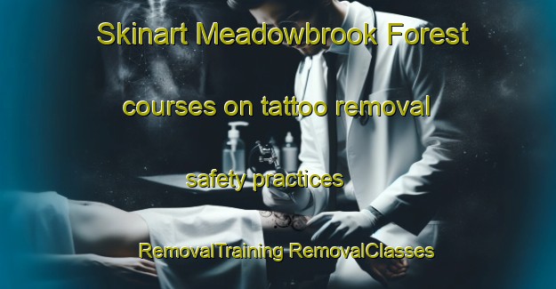 Skinart Meadowbrook Forest courses on tattoo removal safety practices | #RemovalTraining #RemovalClasses #SkinartTraining-United States