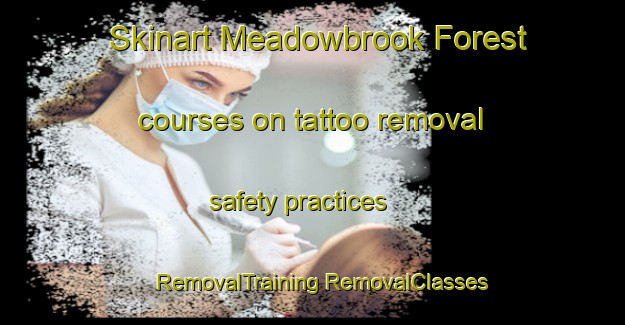 Skinart Meadowbrook Forest courses on tattoo removal safety practices | #RemovalTraining #RemovalClasses #SkinartTraining-United States