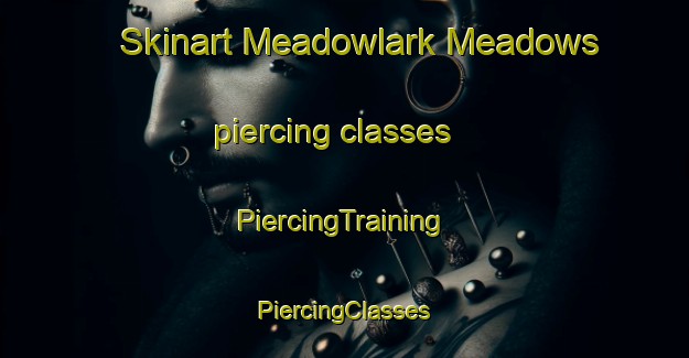 Skinart Meadowlark Meadows piercing classes | #PiercingTraining #PiercingClasses #SkinartTraining-United States