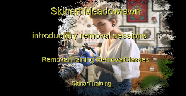 Skinart Meadowlawn introductory removal sessions | #RemovalTraining #RemovalClasses #SkinartTraining-United States