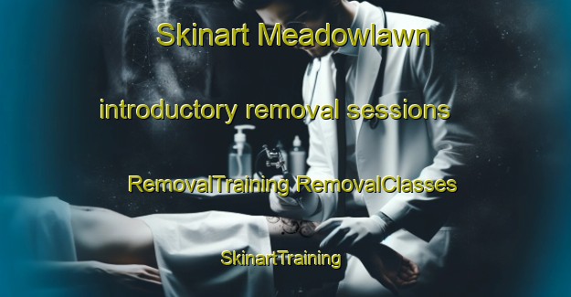 Skinart Meadowlawn introductory removal sessions | #RemovalTraining #RemovalClasses #SkinartTraining-United States