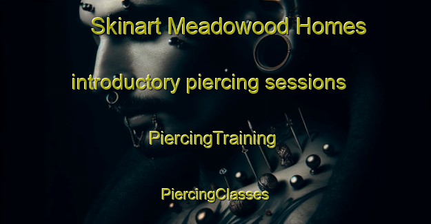 Skinart Meadowood Homes introductory piercing sessions | #PiercingTraining #PiercingClasses #SkinartTraining-United States