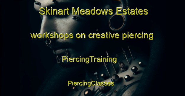 Skinart Meadows Estates workshops on creative piercing | PiercingTraining | PiercingClasses | SkinartTraining-United States