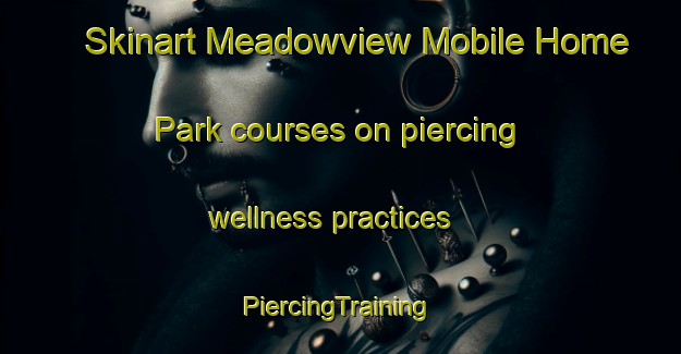 Skinart Meadowview Mobile Home Park courses on piercing wellness practices | #PiercingTraining #PiercingClasses #SkinartTraining-United States