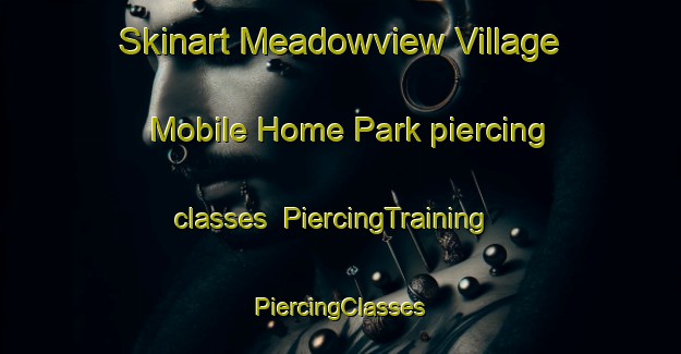 Skinart Meadowview Village Mobile Home Park piercing classes | #PiercingTraining #PiercingClasses #SkinartTraining-United States