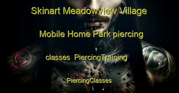 Skinart Meadowview Village Mobile Home Park piercing classes | #PiercingTraining #PiercingClasses #SkinartTraining-United States