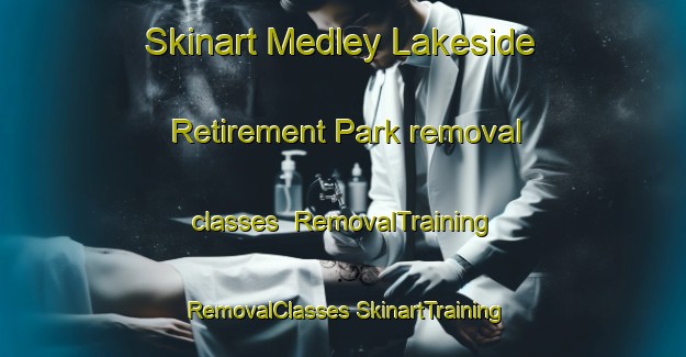 Skinart Medley Lakeside Retirement Park removal classes | #RemovalTraining #RemovalClasses #SkinartTraining-United States