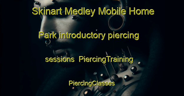 Skinart Medley Mobile Home Park introductory piercing sessions | #PiercingTraining #PiercingClasses #SkinartTraining-United States