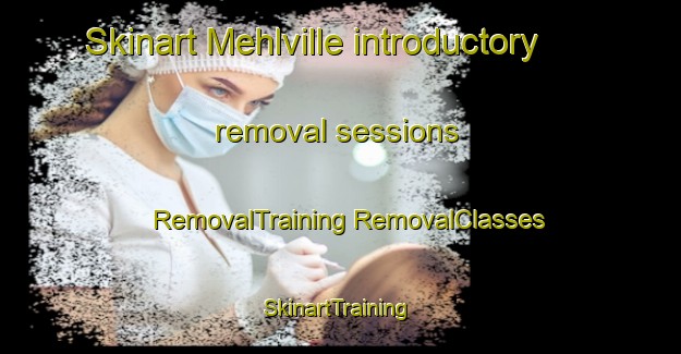 Skinart Mehlville introductory removal sessions | #RemovalTraining #RemovalClasses #SkinartTraining-United States