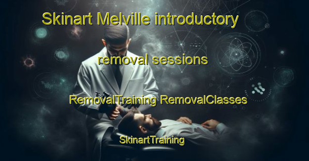 Skinart Melville introductory removal sessions | #RemovalTraining #RemovalClasses #SkinartTraining-United States