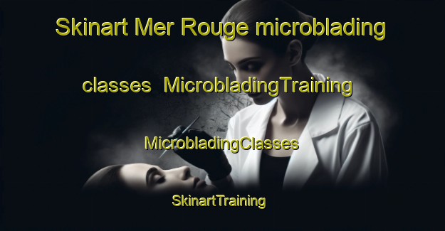 Skinart Mer Rouge microblading classes | #MicrobladingTraining #MicrobladingClasses #SkinartTraining-United States