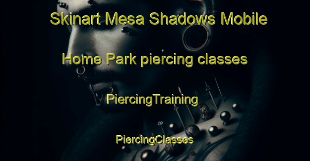 Skinart Mesa Shadows Mobile Home Park piercing classes | #PiercingTraining #PiercingClasses #SkinartTraining-United States