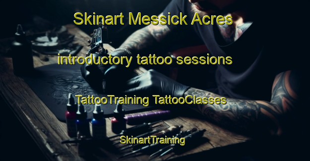 Skinart Messick Acres introductory tattoo sessions | #TattooTraining #TattooClasses #SkinartTraining-United States