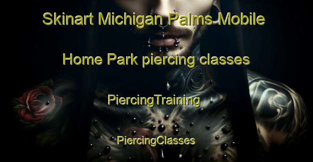 Skinart Michigan Palms Mobile Home Park piercing classes | #PiercingTraining #PiercingClasses #SkinartTraining-United States