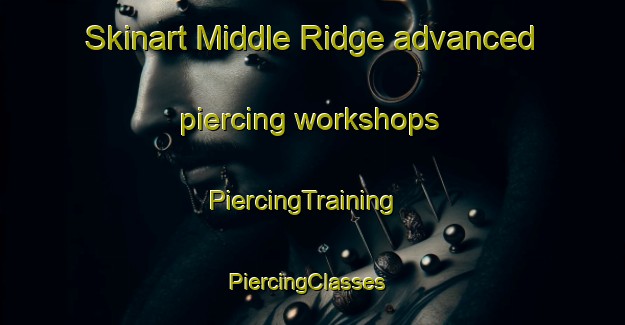 Skinart Middle Ridge advanced piercing workshops | PiercingTraining | PiercingClasses | SkinartTraining-United States