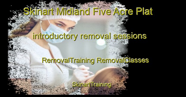 Skinart Midland Five Acre Plat introductory removal sessions | #RemovalTraining #RemovalClasses #SkinartTraining-United States