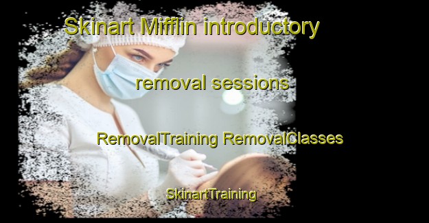 Skinart Mifflin introductory removal sessions | #RemovalTraining #RemovalClasses #SkinartTraining-United States