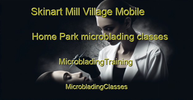 Skinart Mill Village Mobile Home Park microblading classes | #MicrobladingTraining #MicrobladingClasses #SkinartTraining-United States