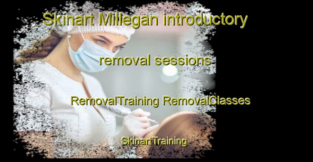 Skinart Millegan introductory removal sessions | #RemovalTraining #RemovalClasses #SkinartTraining-United States