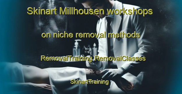 Skinart Millhousen workshops on niche removal methods | #RemovalTraining #RemovalClasses #SkinartTraining-United States