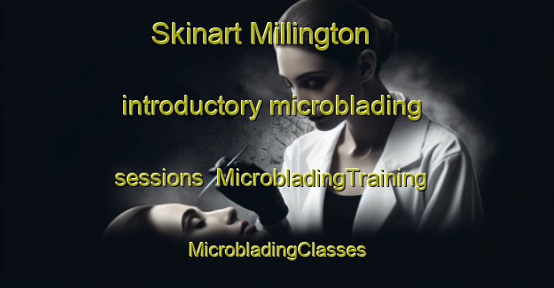 Skinart Millington introductory microblading sessions | #MicrobladingTraining #MicrobladingClasses #SkinartTraining-United States