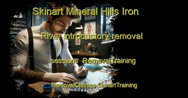 Skinart Mineral Hills Iron River introductory removal sessions | #RemovalTraining #RemovalClasses #SkinartTraining-United States