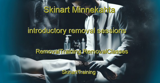 Skinart Minnekahta introductory removal sessions | #RemovalTraining #RemovalClasses #SkinartTraining-United States