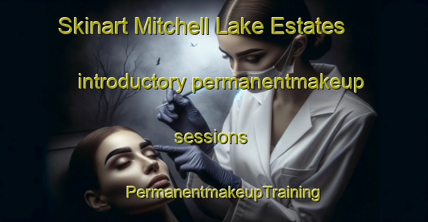 Skinart Mitchell Lake Estates introductory permanentmakeup sessions | #PermanentmakeupTraining #PermanentmakeupClasses #SkinartTraining-United States