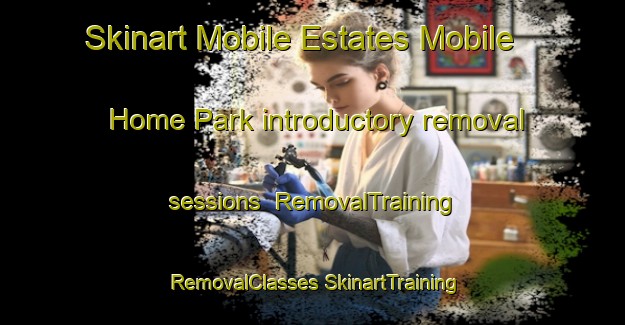 Skinart Mobile Estates Mobile Home Park introductory removal sessions | #RemovalTraining #RemovalClasses #SkinartTraining-United States