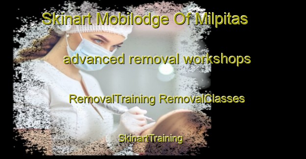 Skinart Mobilodge Of Milpitas advanced removal workshops | #RemovalTraining #RemovalClasses #SkinartTraining-United States