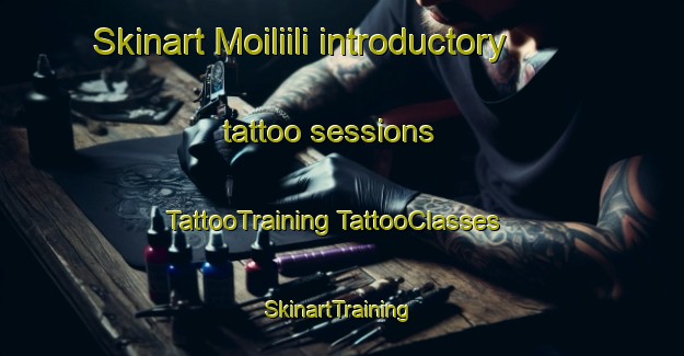 Skinart Moiliili introductory tattoo sessions | #TattooTraining #TattooClasses #SkinartTraining-United States