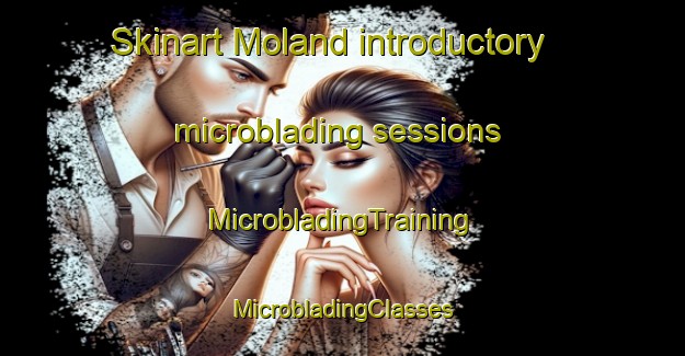 Skinart Moland introductory microblading sessions | #MicrobladingTraining #MicrobladingClasses #SkinartTraining-United States